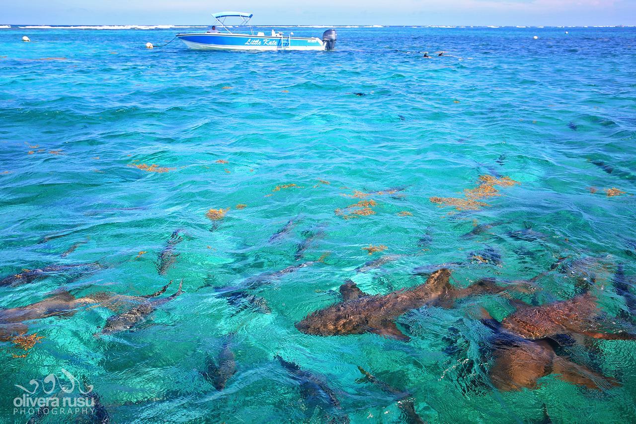 Cayo Espanto San Pedro  Exterior photo
